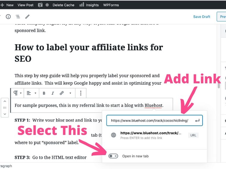 Step 2 to add sponsored affiliate links tag